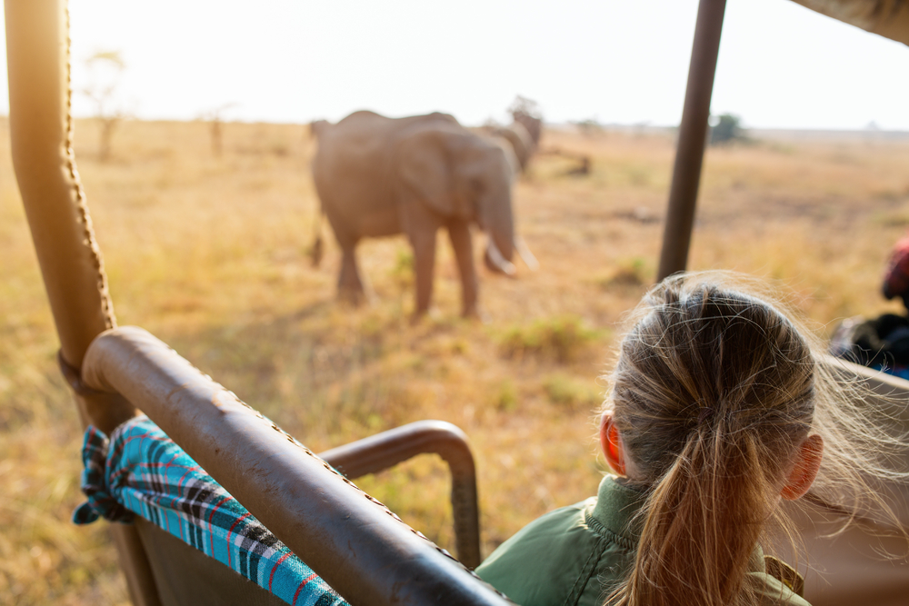 Safari i Afrika: Sådan bliver du klar